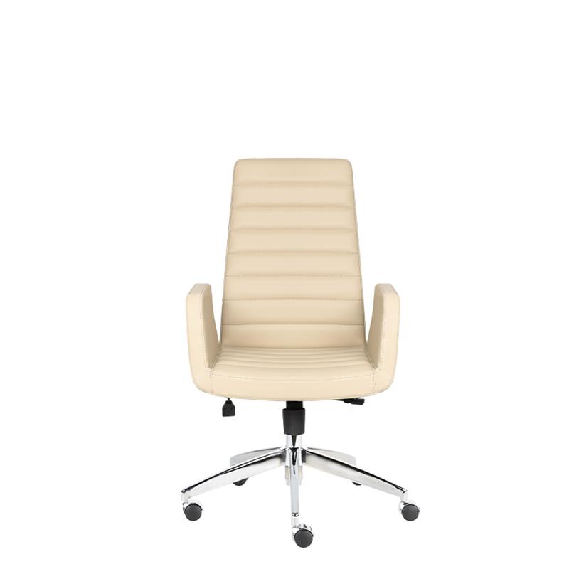 Arya Yönetici Koltuğı