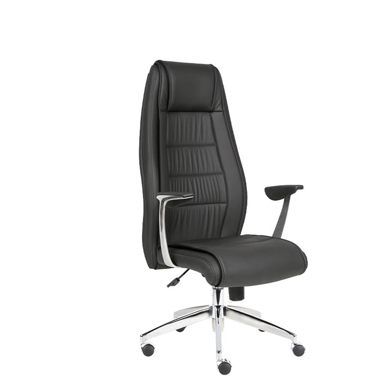 Bayer Yönetici Koltuğu