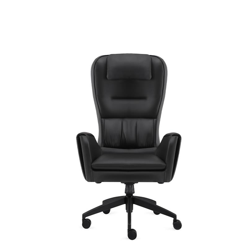 Braga Yönetici Koltuğu