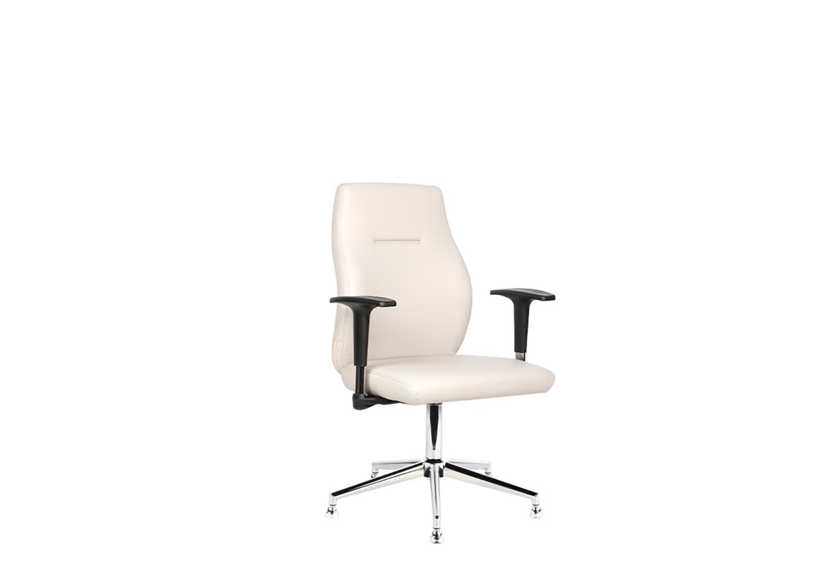 Darvin Misafir Koltuğu