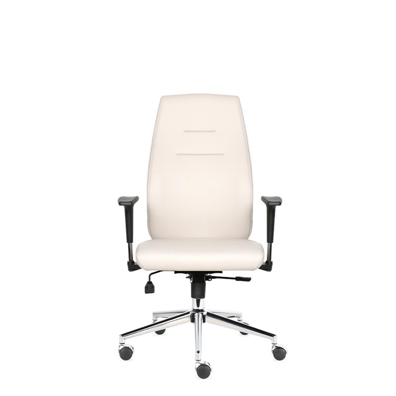 Darvin Yönetici Koltuğu