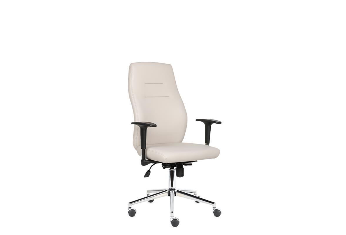 Darvin Yönetici Koltuğu