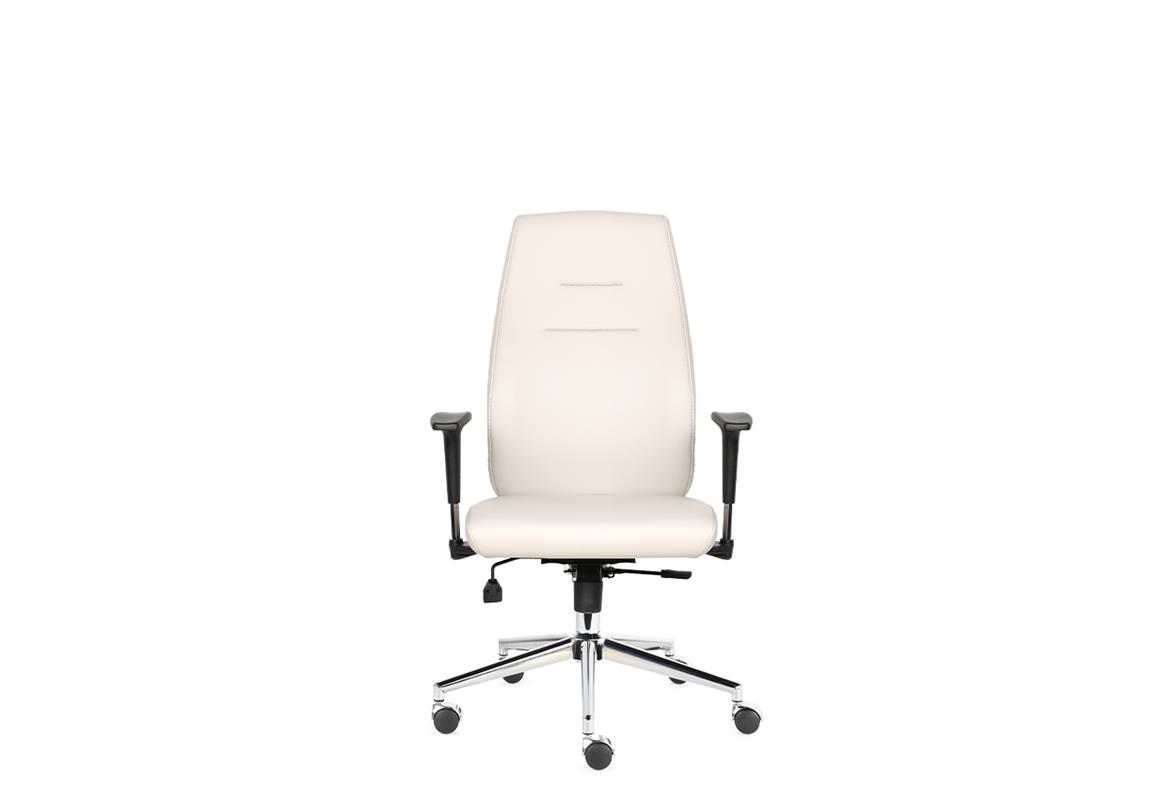 Darvin Yönetici Koltuğu