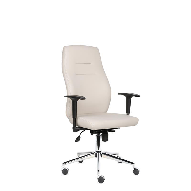 Darvin Yönetici Koltuğu