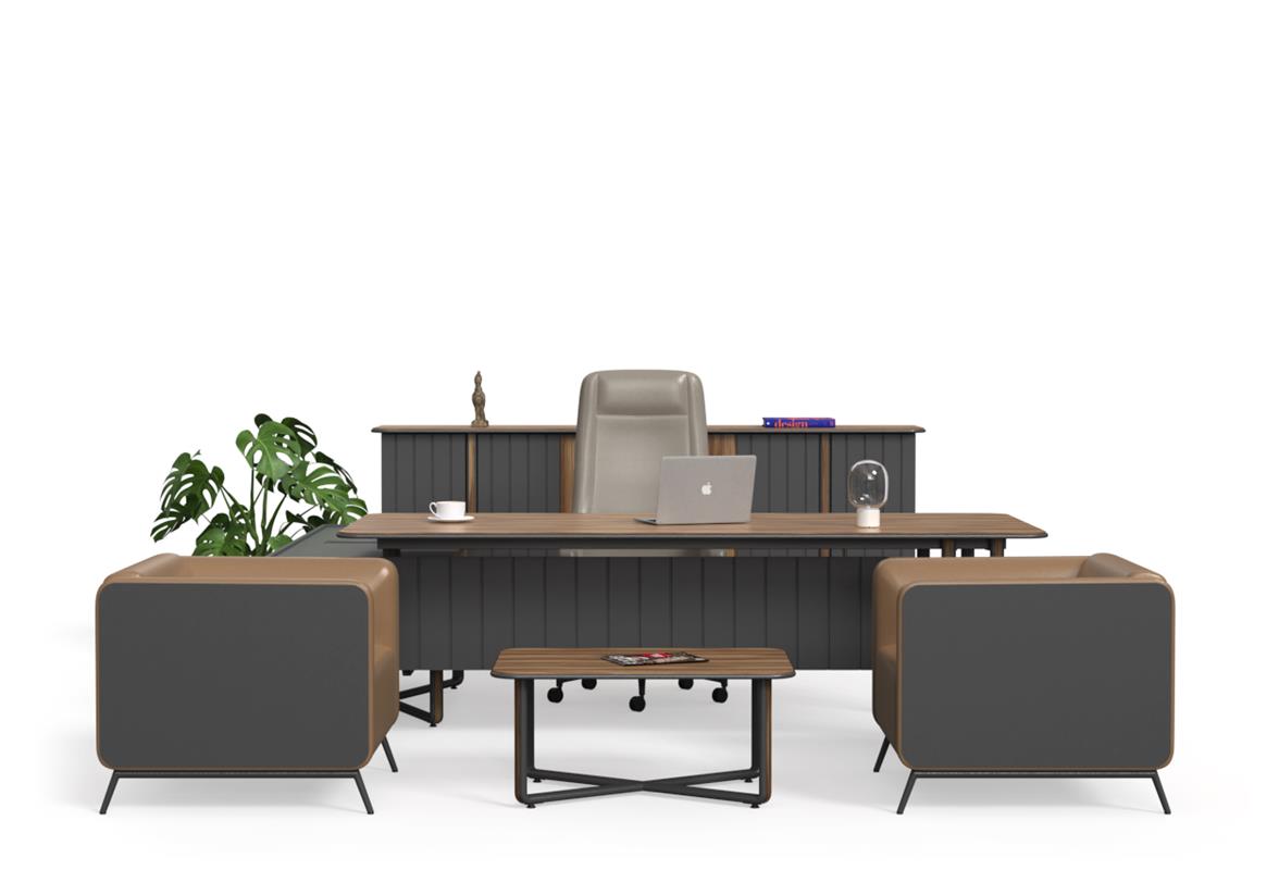 Efor Yönetici Takımı