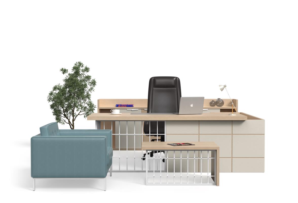 Nexus Yönetici Takımı