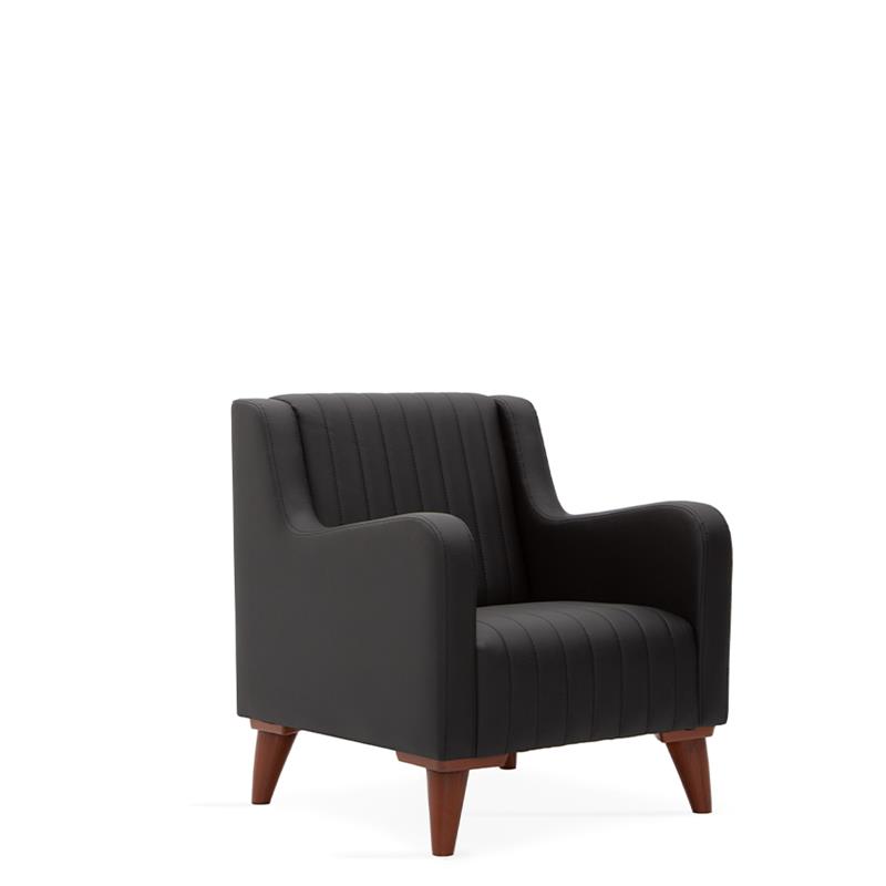 Fuji Tekli Kanepe - Depo