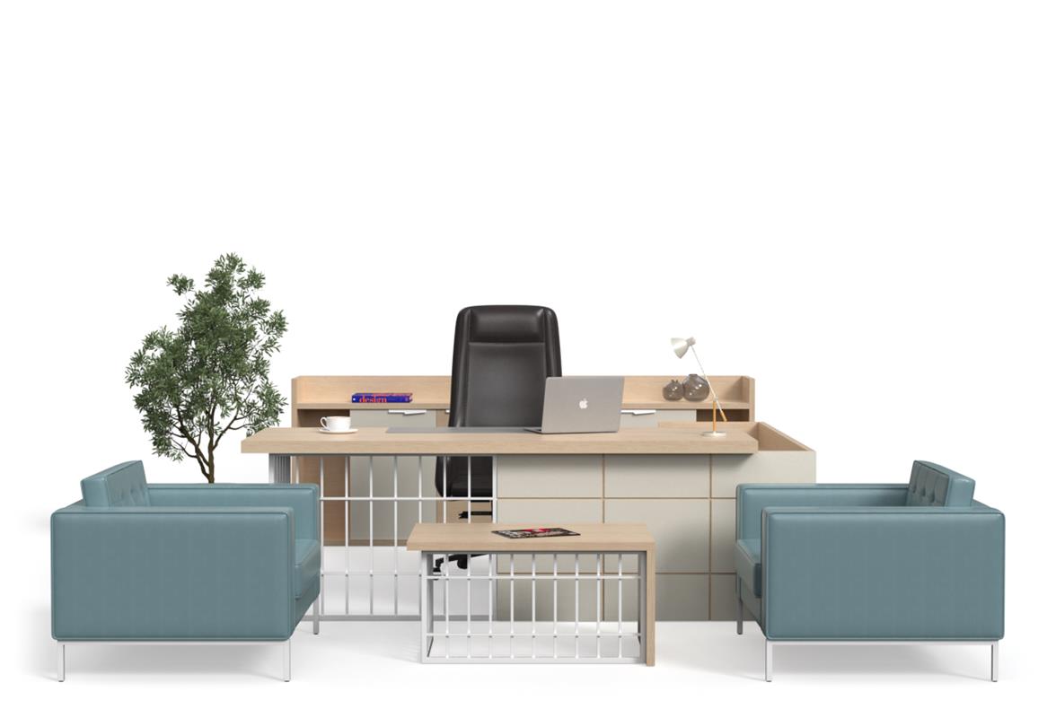 Nexus Yönetici Takımı