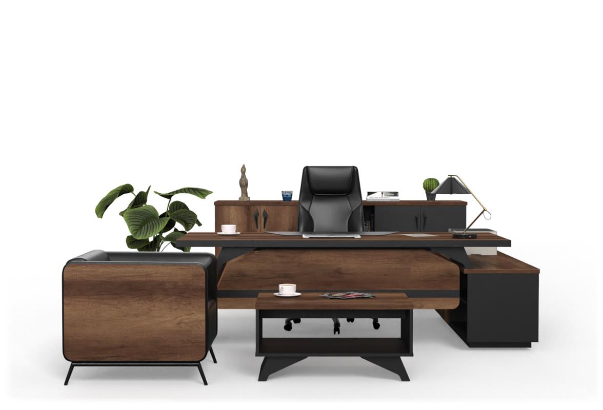 Pegasus Yönetici Takımı