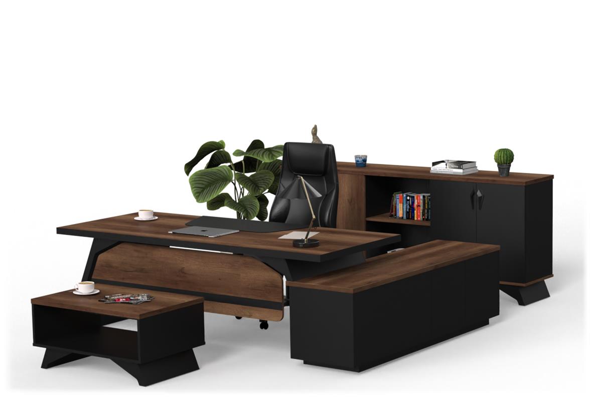 Pegasus Yönetici Takımı