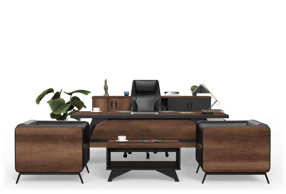 Pegasus Yönetici Takımı