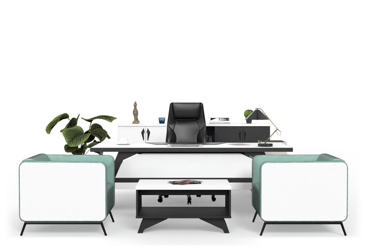 Pegasus Yönetici Takımı