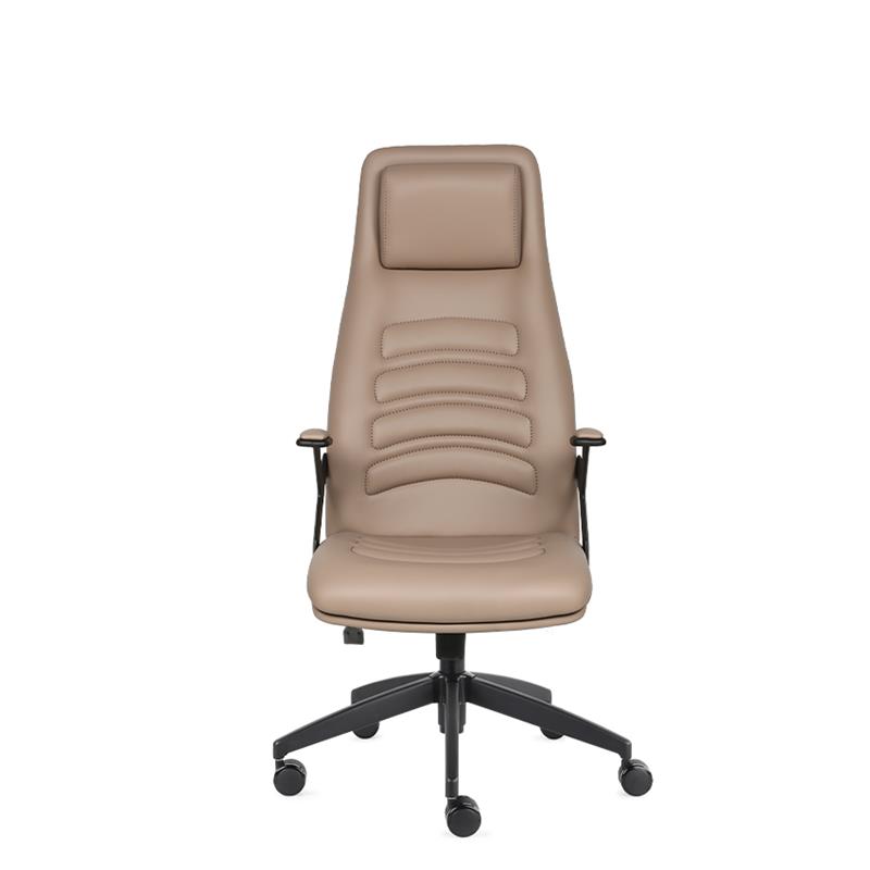 Roll Yönetici Koltuğu